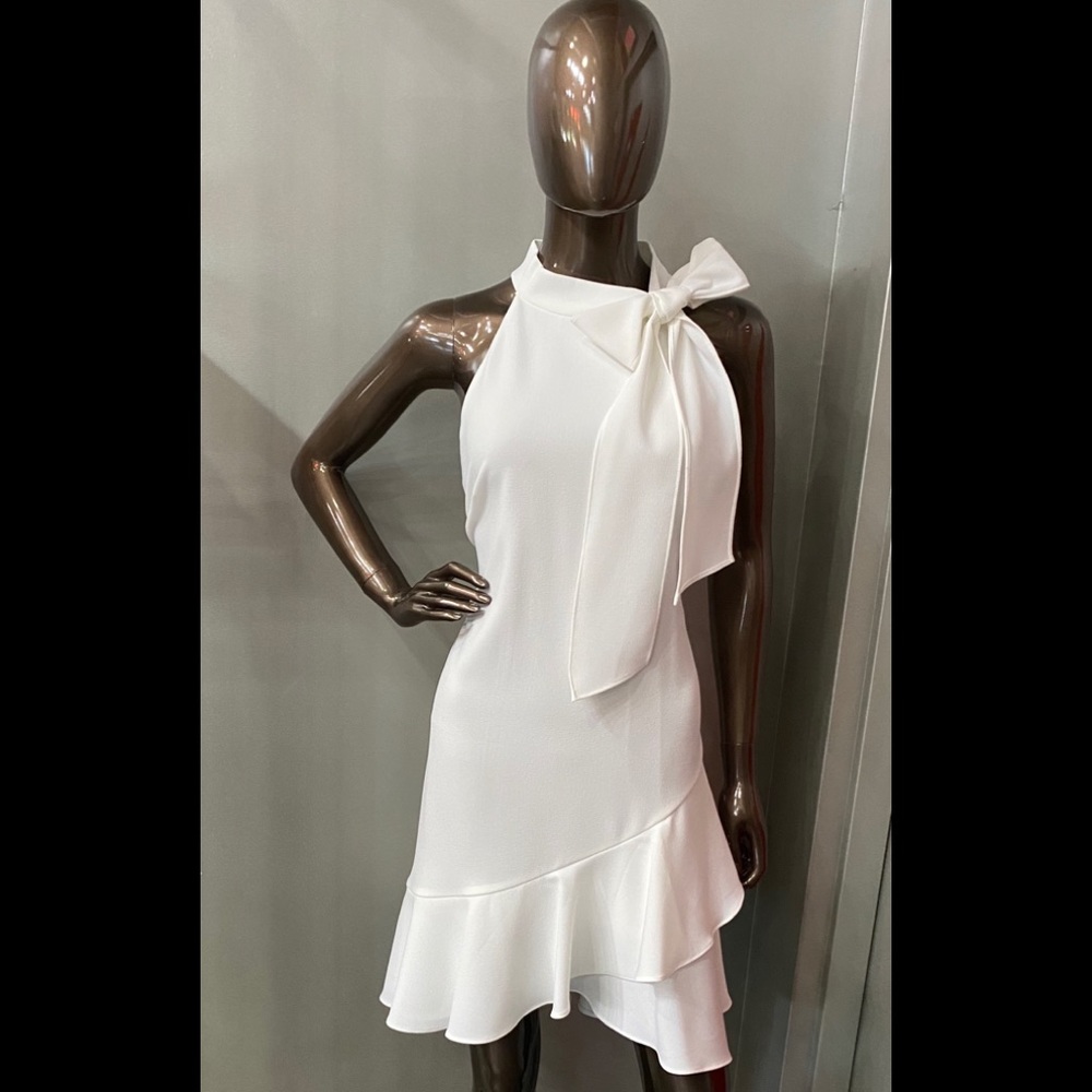 Vince Camuto day dress